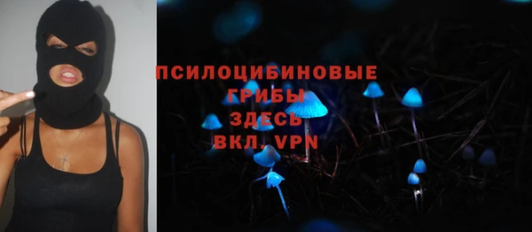 круглые Ельня
