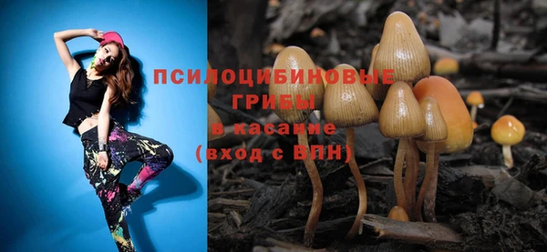 синтетический гашиш Елабуга